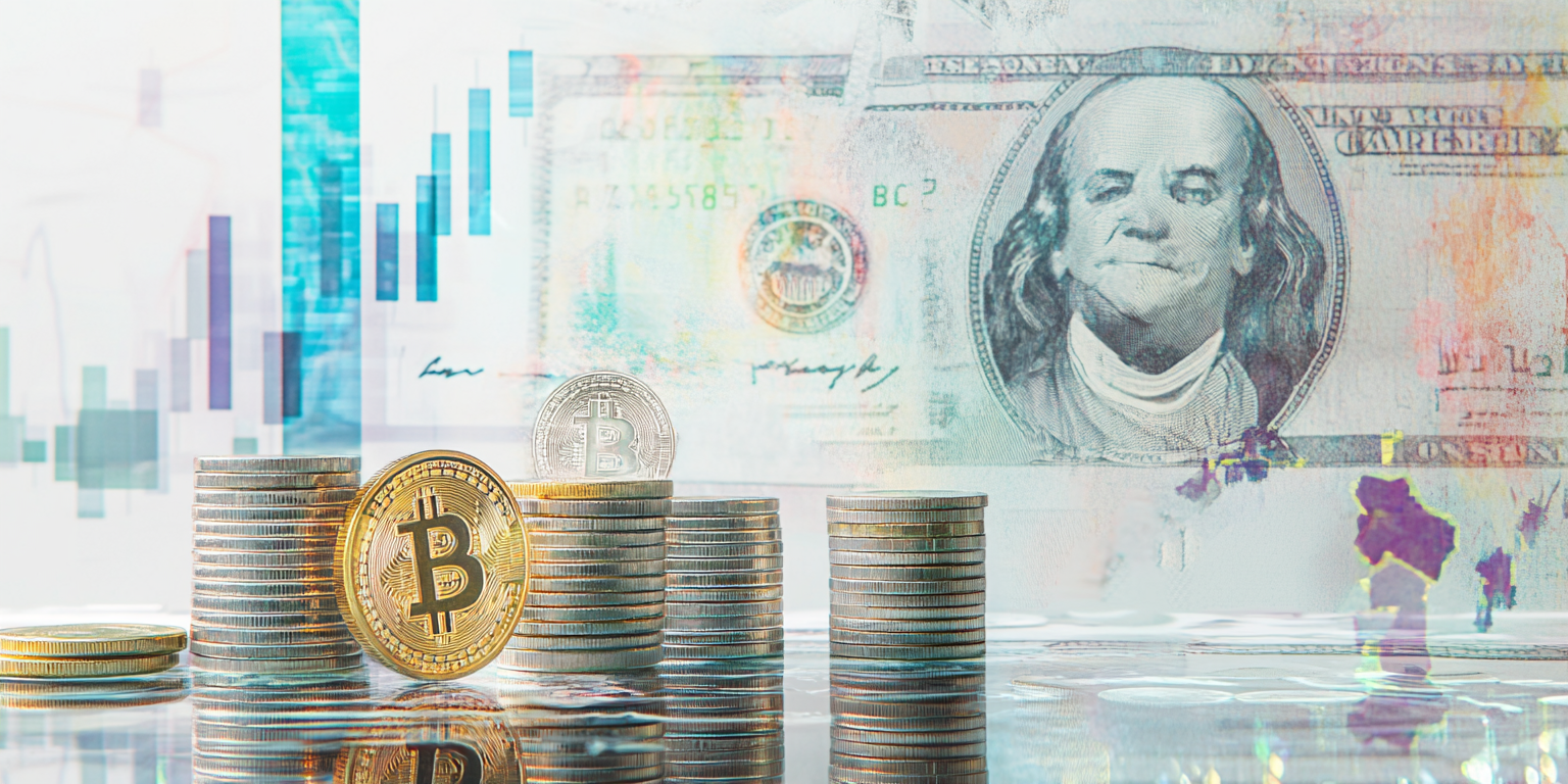 Svela i Segreti di Profitium Vista: È Affidabile?